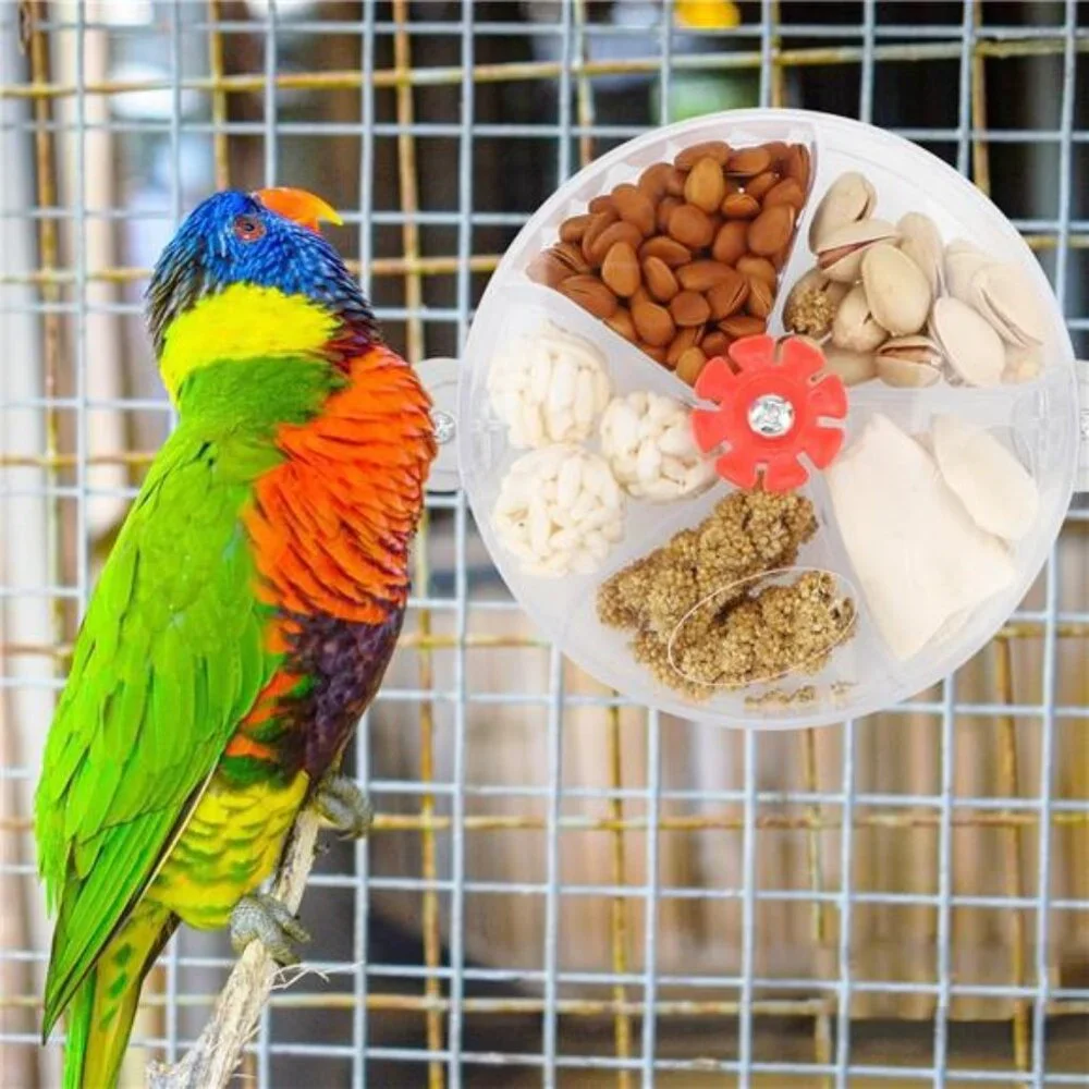 Bird Creative Foraging System Wheel Seed Food Ball Rotate TrainingToy for Parrot